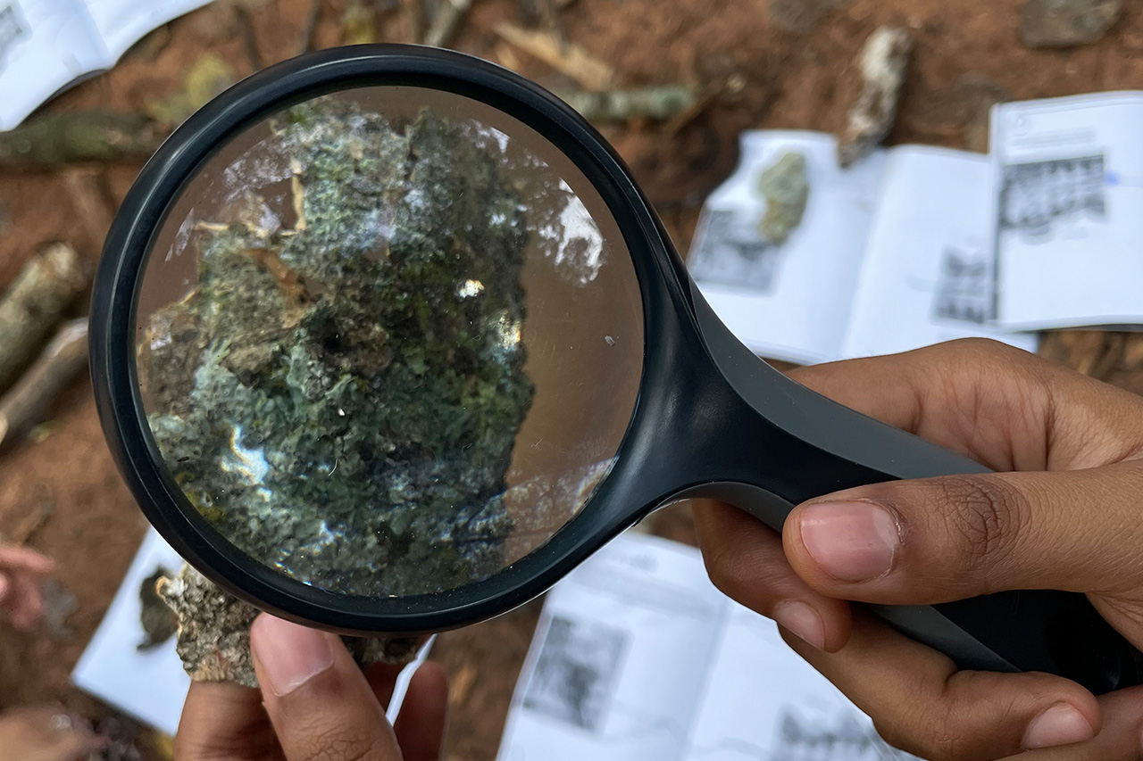 Hands hold a magnifying glass that zooms in on a piece of bark habitated by lichens and moss. Network booklets are lying on the ground in the blurry background of the photo.